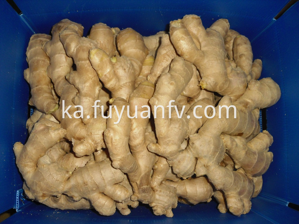 air-dried ginger